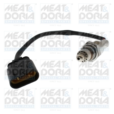 Oxygen Sensor
